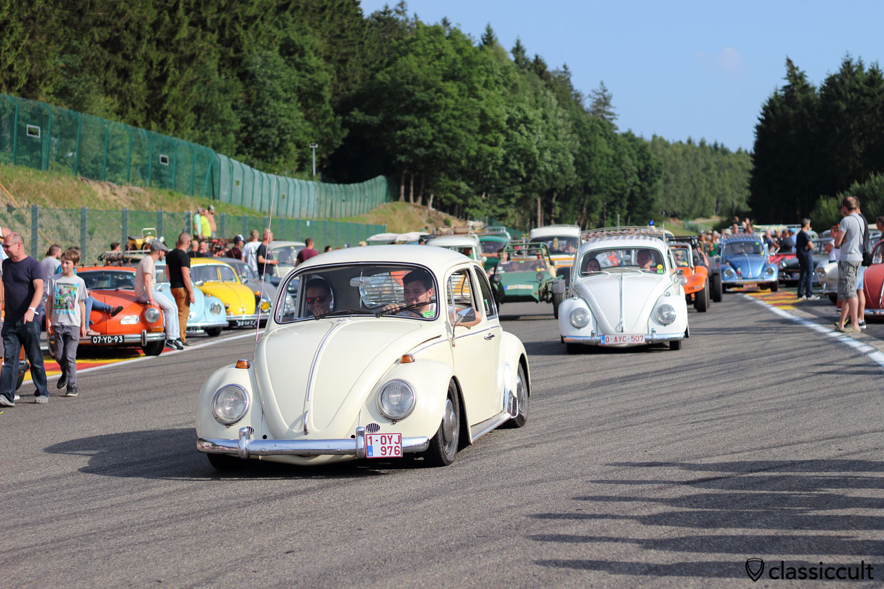 VW Beetles from Belgium, Bug Show Parade 2015