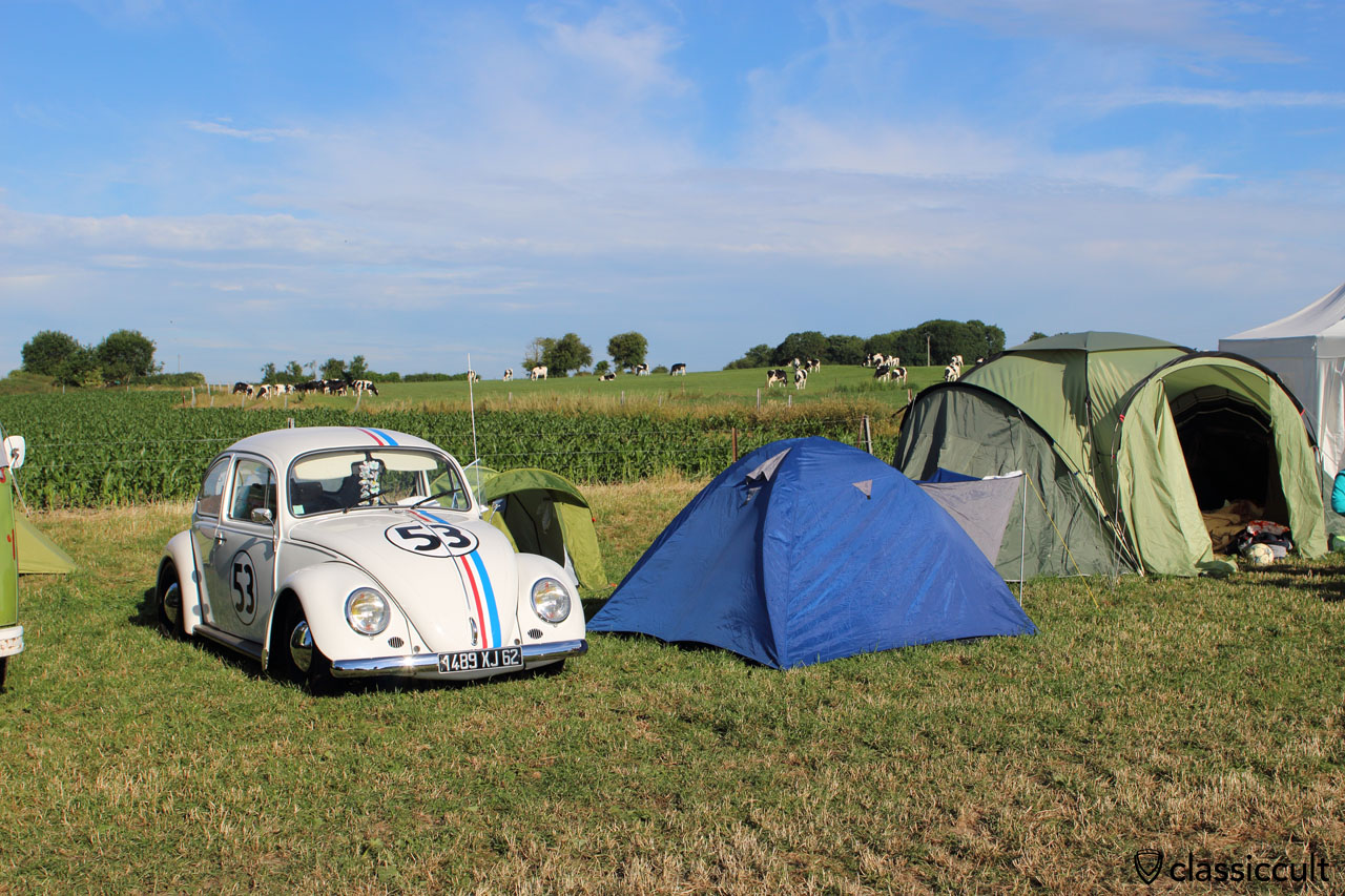 Herby 53