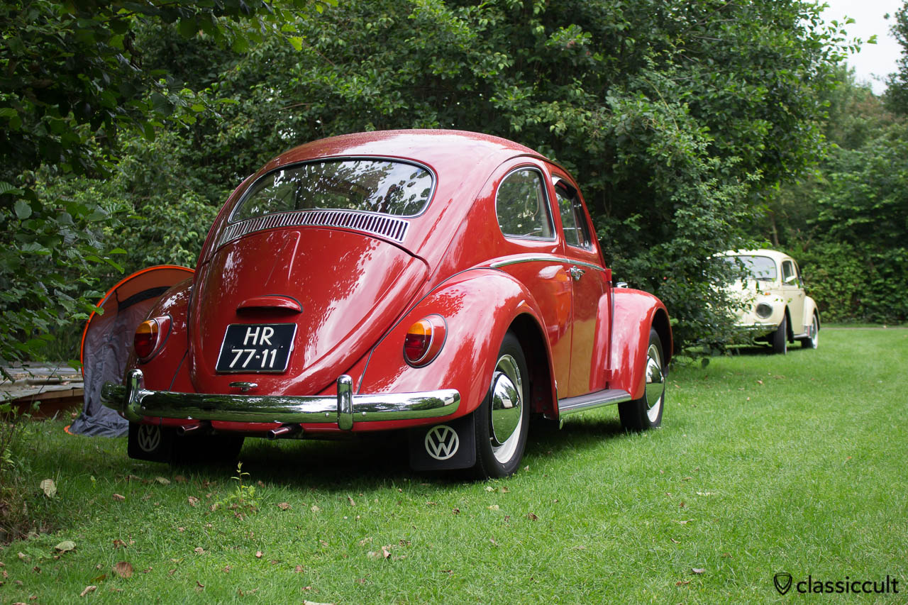 VW Beetle rear