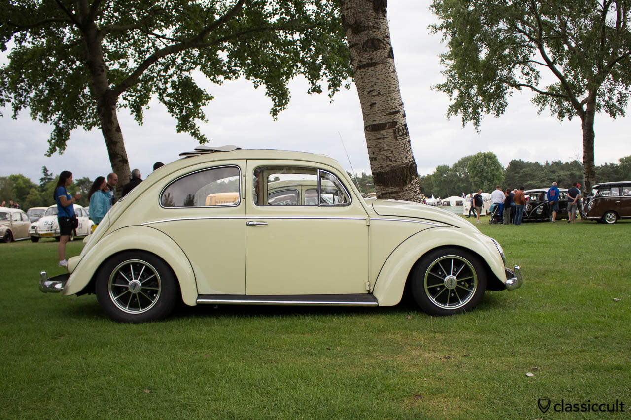 Ragtop Oval