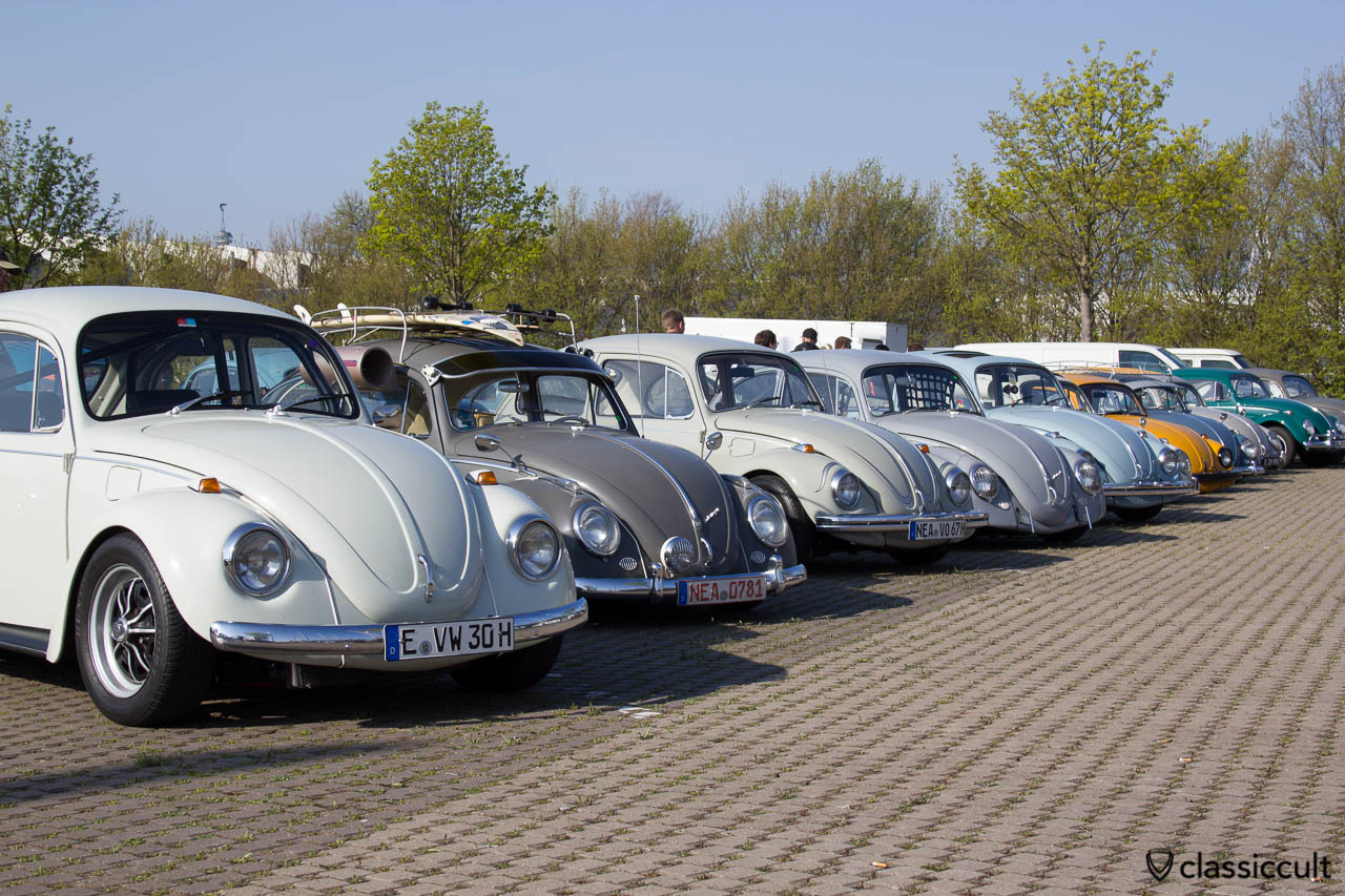 VW Käfer Line Up Maikaefertreffen 2013