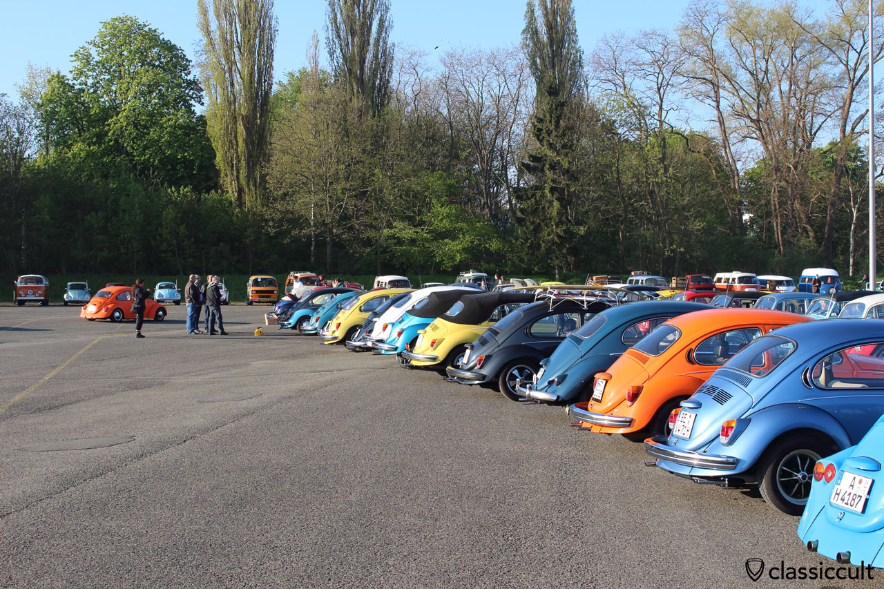 VW Käfer Heckansicht, Maikäfertreffen 7:55