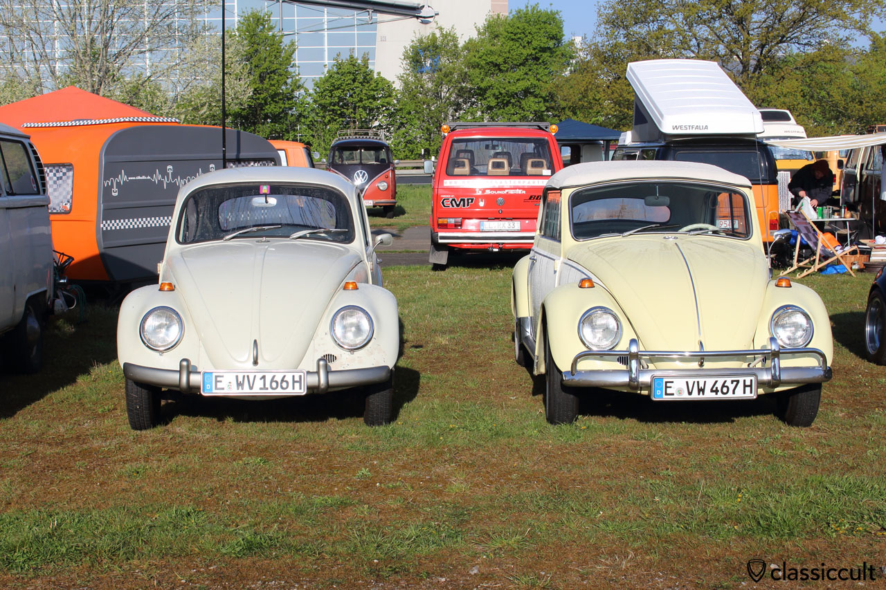 links ein VW Käfer 1200A Standard von 1966 mit lackierten Stoßstangen und rechts ein VW Käfer Cabrio 1967