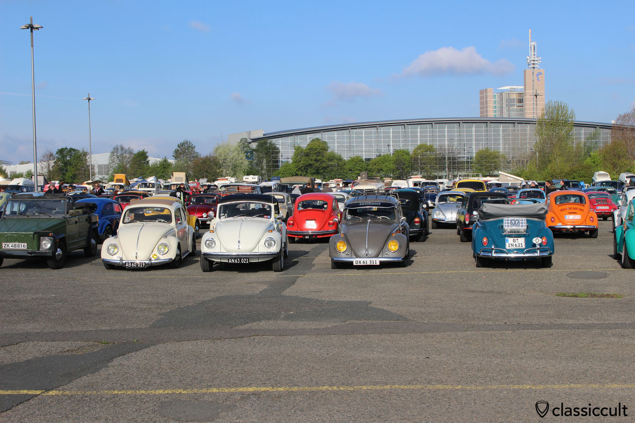 Maikäfertreffen 2015