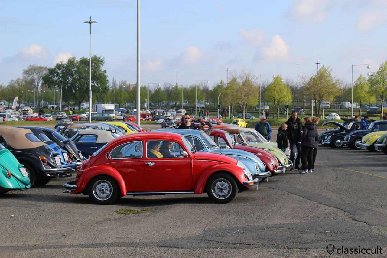 Maikäfertreffen 2015