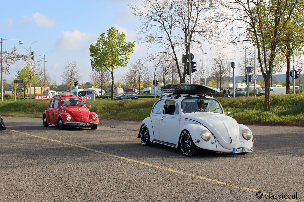 Käfer mit Surfbrett
