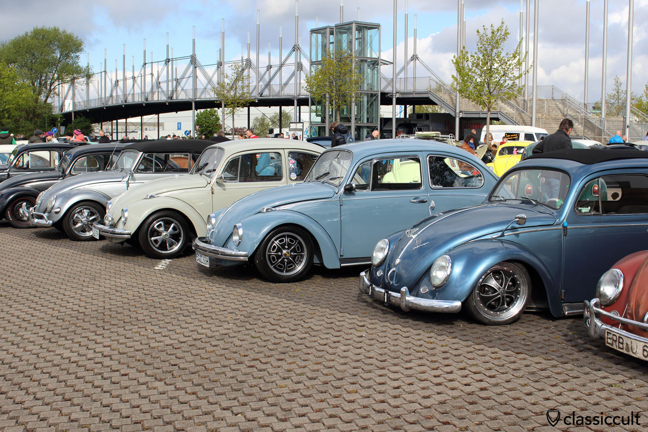 Maikäfertreffen 2015