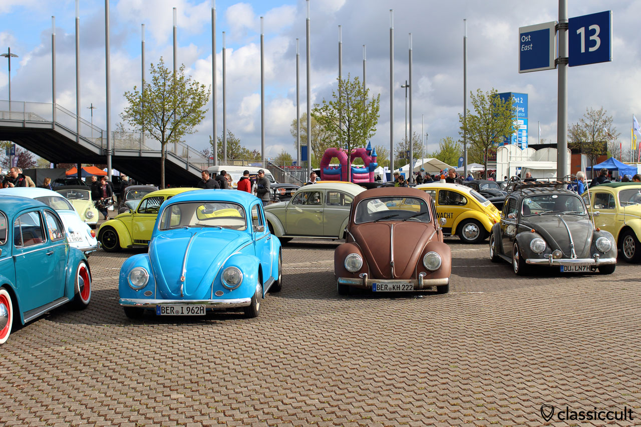 Maikäfertreffen 2015