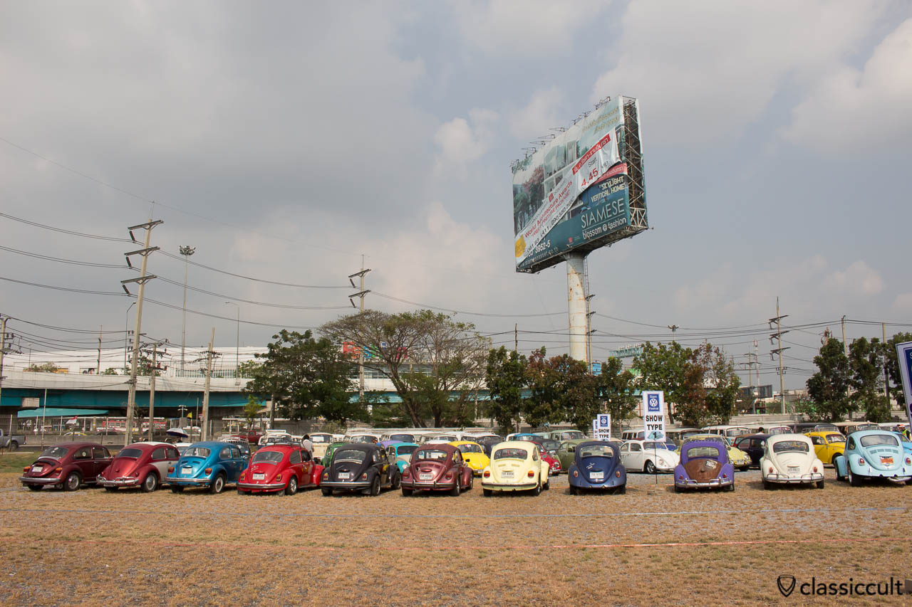 VW Beetles at Siam VW Show
