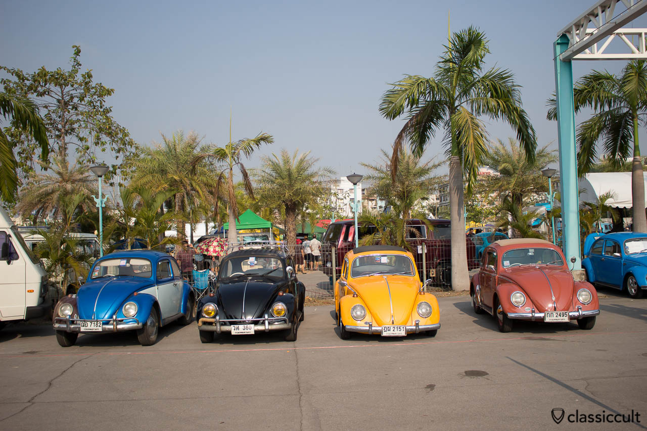 Classic Bugs at Siam VW Show 2014