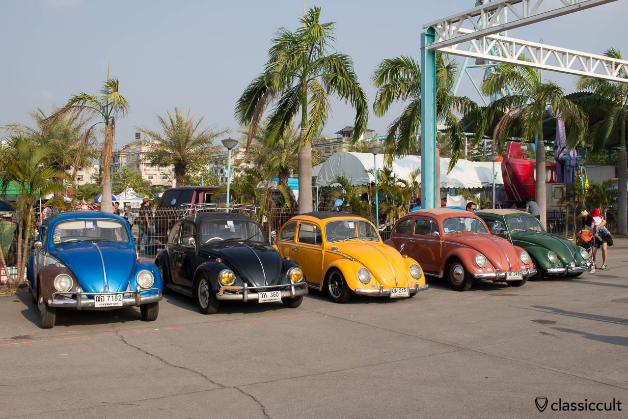 Beetles at Siam VW Festival 2014