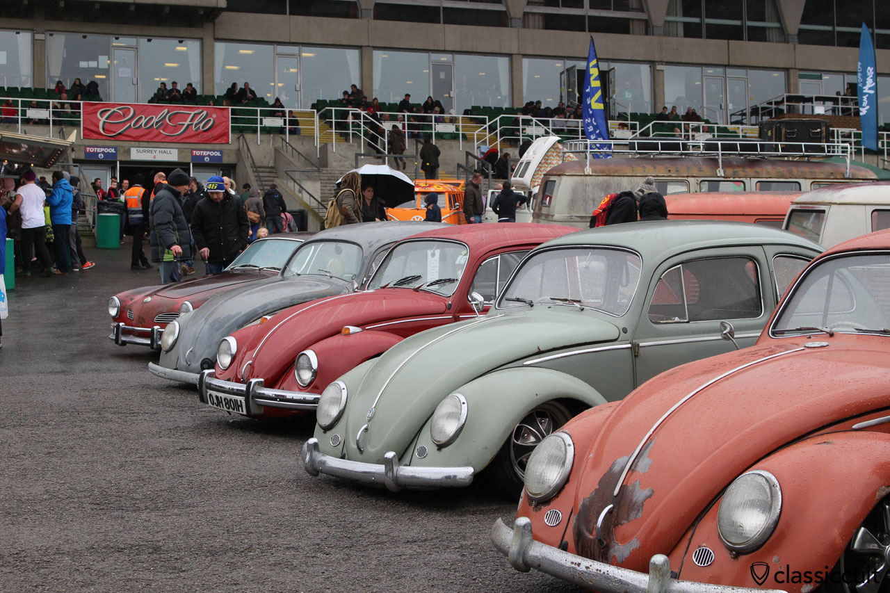 Volksworld VW Beetles