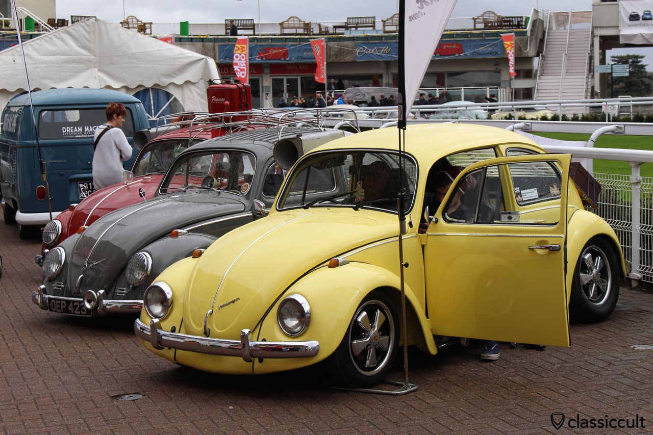 Volksworld VW Beetles Sandown Park 2015